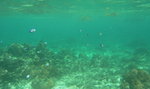 RIMG0134