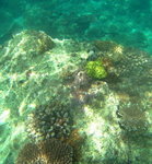 RIMG0244