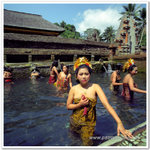 Indonesia_120N_657310