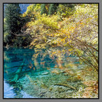 JiuZhaiGou_120P_1850_09