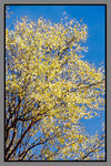 JiuZhaiGou_135P_009