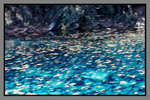 JiuZhaiGou_135P_017