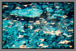 JiuZhaiGou_135P_018
