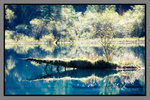 JiuZhaiGou_135P_023