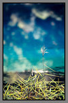 JiuZhaiGou_135P_026