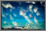 JiuZhaiGou_135P_027