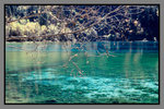 JiuZhaiGou_135P_033