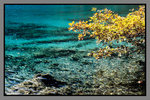 JiuZhaiGou_135P_036