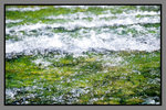 JiuZhaiGou_135P_042