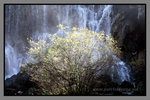 JiuZhaiGou_135P_047