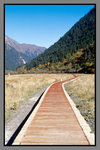 JiuZhaiGou_135P_057