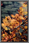 JiuZhaiGou_135P_060