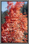 JiuZhaiGou_135P_078