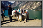 JiuZhaiGou_135P_119