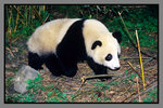 JiuZhaiGou_135P_139