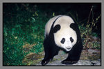 JiuZhaiGou_135P_146