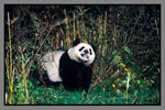 JiuZhaiGou_135P_149