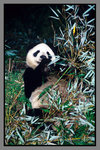 JiuZhaiGou_135P_151