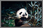 JiuZhaiGou_135P_153