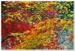Japan_06_135P_01_23