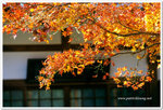 Japan_06_135P_01_35