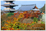 Japan_06_135P_02_05