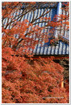 Japan_06_135P_02_22
