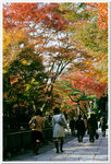 Japan_06_135P_02_33