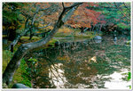 Japan_06_135P_03_25
