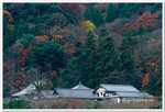 Japan_06_135P_04_03