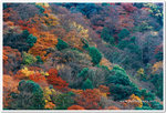 Japan_06_135P_04_15