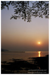 夕陽 ( 大澳 )