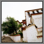 Tibet _120P_01_08
