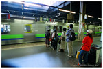 A15780031