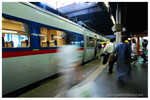 A15780033