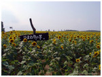 ADSC01245