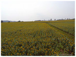 ADSC01246