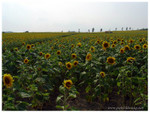 ADSC01247