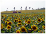 ADSC01248
