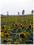 ADSC01251