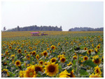 ADSC01252