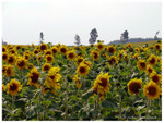 ADSC01255