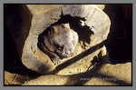 Australia_135P_042