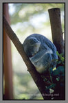 Australia_135P_046