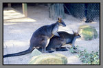 Australia_135P_053