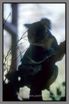 Australia_135P_056