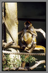 Australia_135P_057