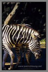 Australia_135P_063