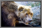 Australia_135P_065