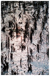 A0504-17